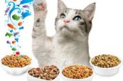 Котешки храни