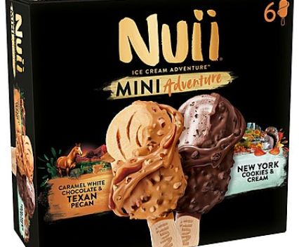 Мини Сладолед Nuii Тексан и Ню Йорк 6х42.5 г
