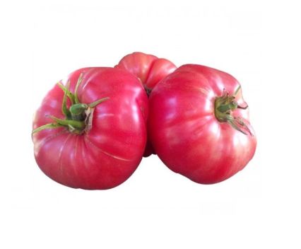 Едри градински розови домати 1 кг