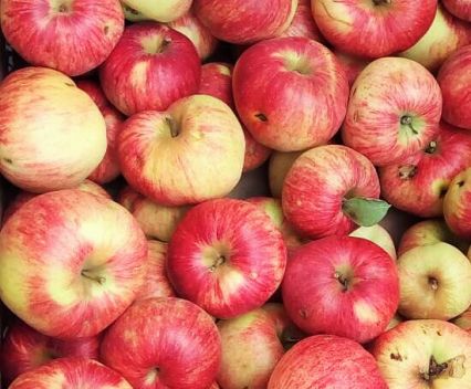 Български шарени ябълки от манастир Благовещение 1 кг