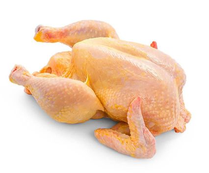 Жълто пиле, свободно отгледано Франция ок. 1700 г