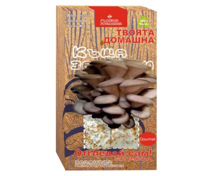 Къща за Гъбки Кладница Гъбена Градина 1 бр