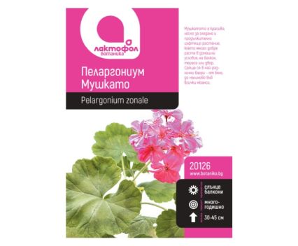 Семена Пеларгониум Мушкато Лактофол Ботаника 1 бр