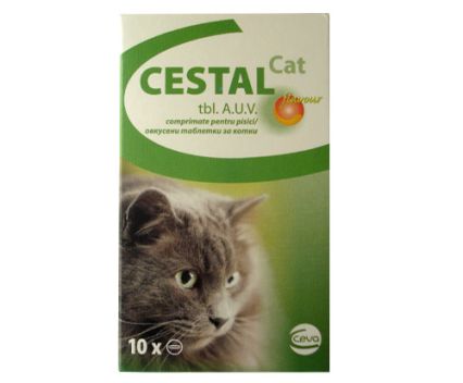 CESTAL CAT FLAVOUR TBL