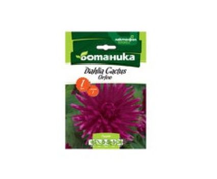 Луковици Далия Cactus Orfeo Ботаника Лактофол 1бр в опаковка