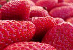 6 предимства на ягодите за здравето
